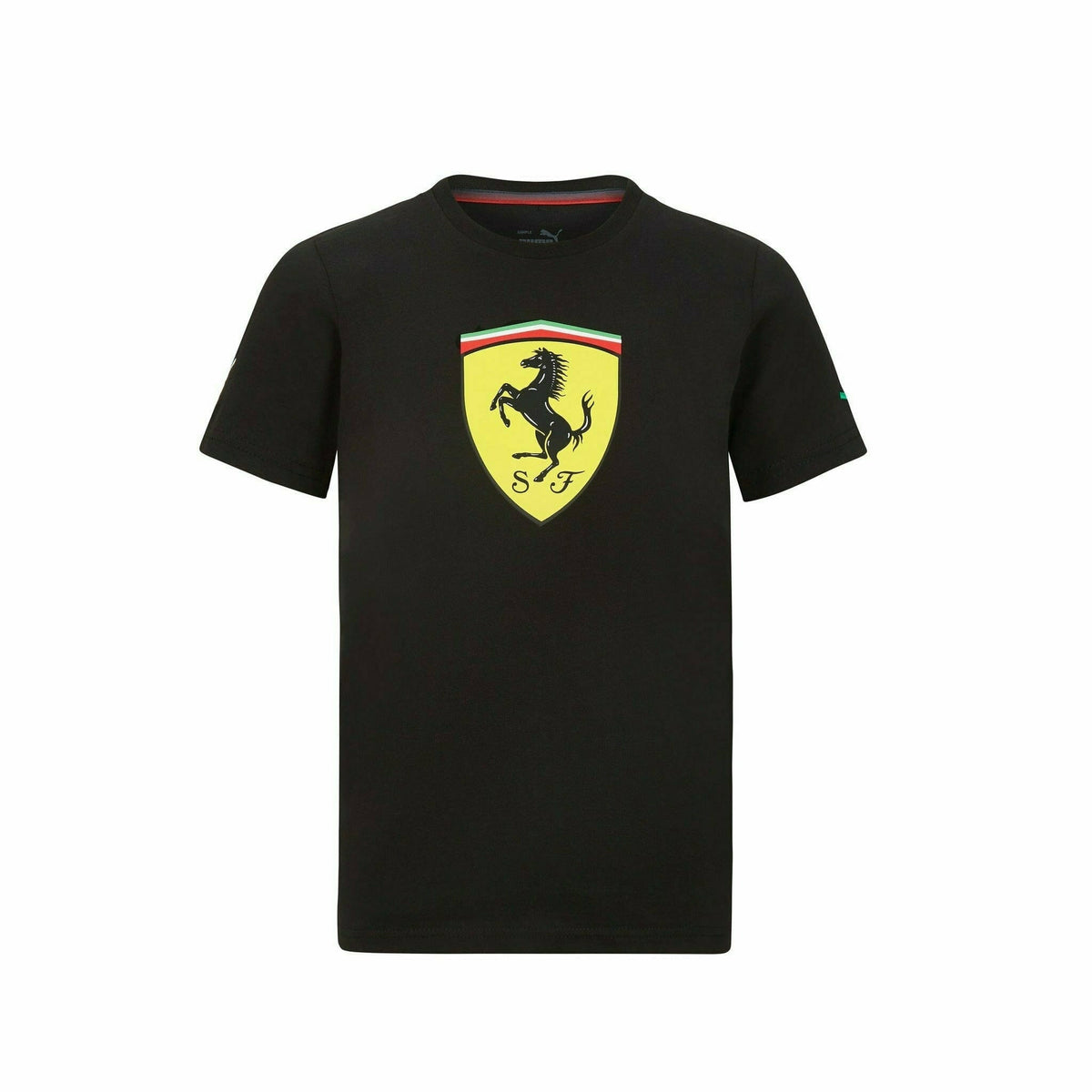 Scuderia Ferrari F1 Men's 2023 Team T-Shirt – CMC Motorsports®